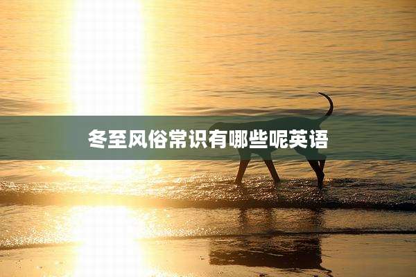 冬至风俗常识有哪些呢英语