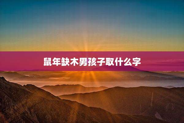 鼠年缺木男孩子取什么字