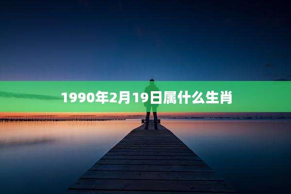 1990年2月19日属什么生肖