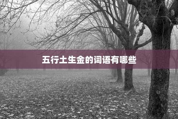 五行土生金的词语有哪些