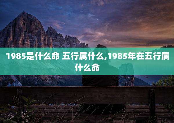 1985是什么命 五行属什么,1985年在五行属什么命