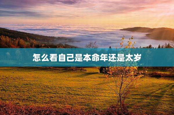 怎么看自己是本命年还是太岁