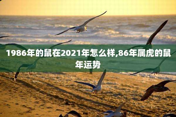 1986年的鼠在2021年怎么样,86年属虎的鼠年运势