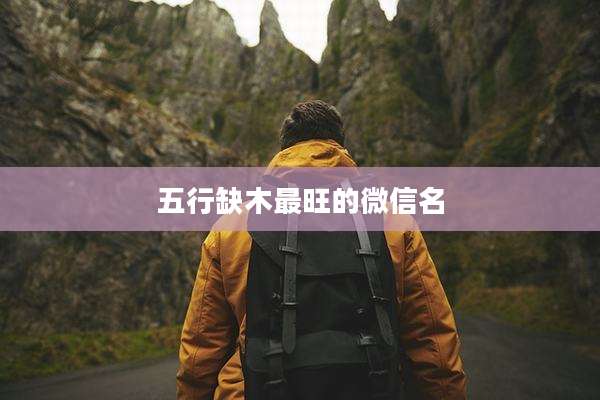 五行缺木最旺的微信名