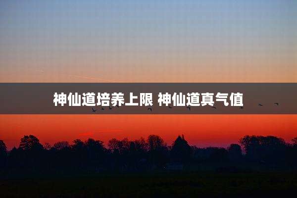 神仙道培养上限 神仙道真气值