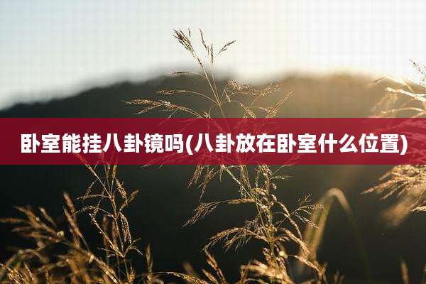 卧室能挂八卦镜吗(八卦放在卧室什么位置)