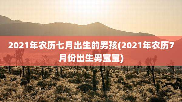 2021年农历七月出生的男孩(2021年农历7月份出生男宝宝)