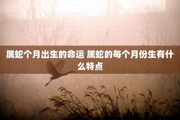 属蛇个月出生的命运 属蛇的每个月份生有什么特点