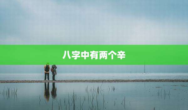 八字中有两个辛