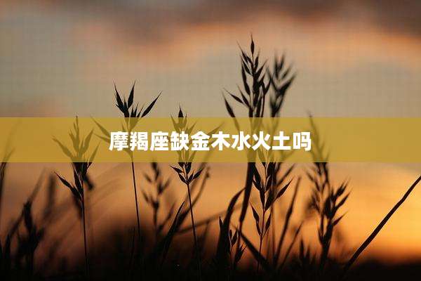 摩羯座缺金木水火土吗