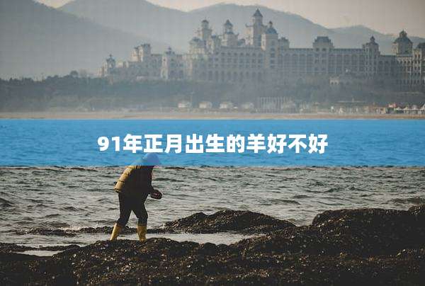 91年正月出生的羊好不好