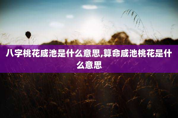 八字桃花咸池是什么意思,算命咸池桃花是什么意思