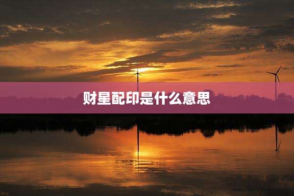 财星配印是什么意思