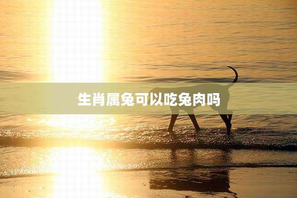 生肖属兔可以吃兔肉吗
