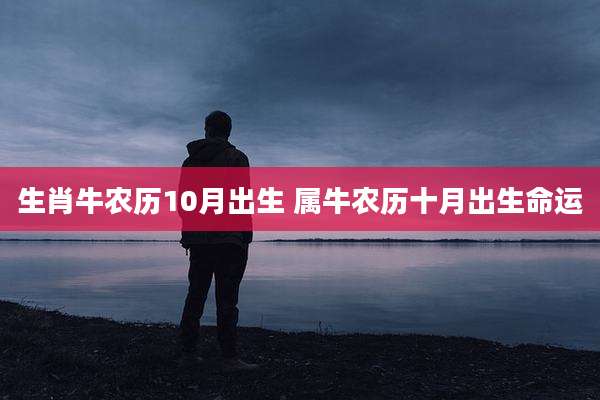 生肖牛农历10月出生 属牛农历十月出生命运