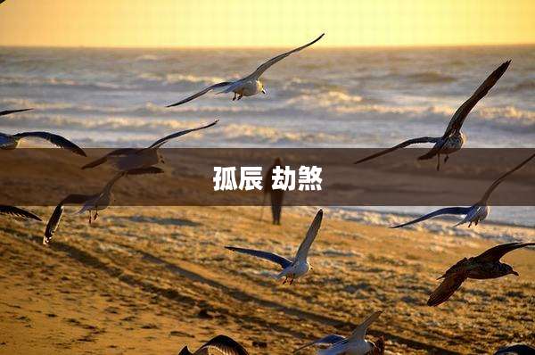 孤辰 劫煞