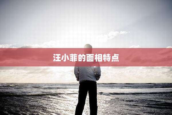 汪小菲的面相特点