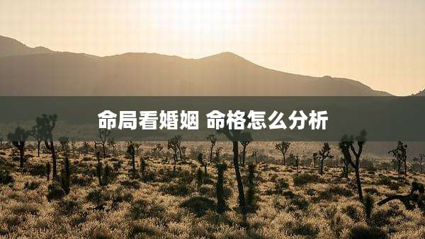 命局看婚姻 命格怎么分析