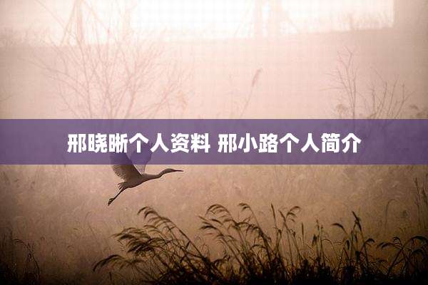 邢晓晰个人资料 邢小路个人简介