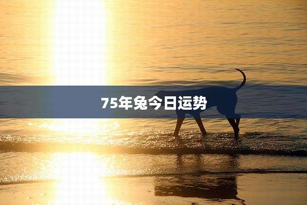 75年兔今日运势