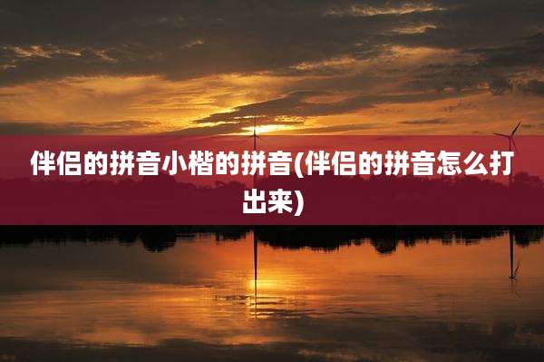 伴侣的拼音小楷的拼音(伴侣的拼音怎么打出来)