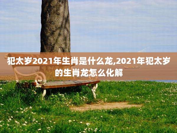 犯太岁2021年生肖是什么龙,2021年犯太岁的生肖龙怎么化解