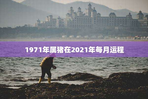 1971年属猪在2021年每月运程