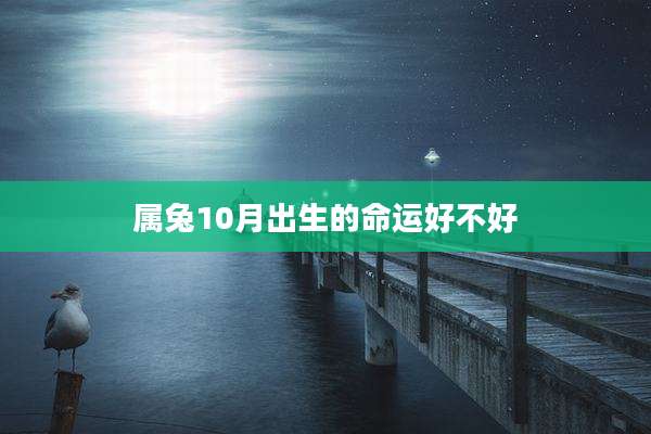 属兔10月出生的命运好不好