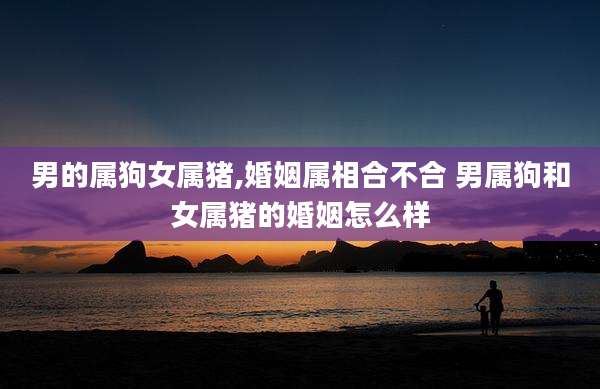 男的属狗女属猪,婚姻属相合不合 男属狗和女属猪的婚姻怎么样