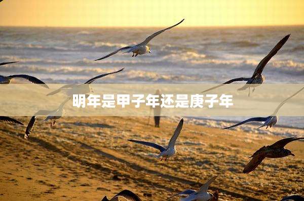 明年是甲子年还是庚子年