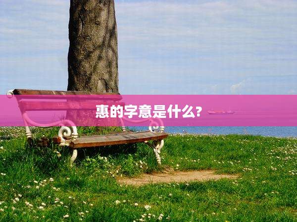 惠的字意是什么?