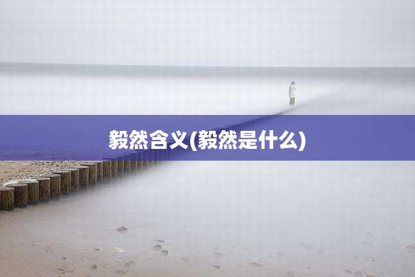 毅然含义(毅然是什么)