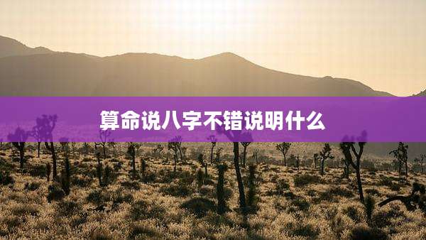 算命说八字不错说明什么