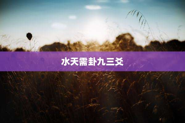 水天需卦九三爻