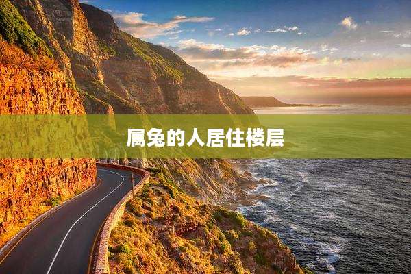 属兔的人居住楼层
