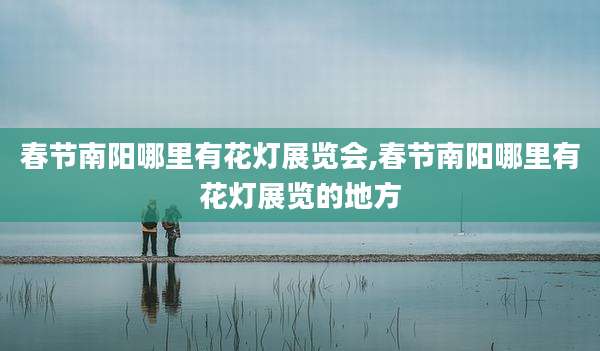 春节南阳哪里有花灯展览会,春节南阳哪里有花灯展览的地方