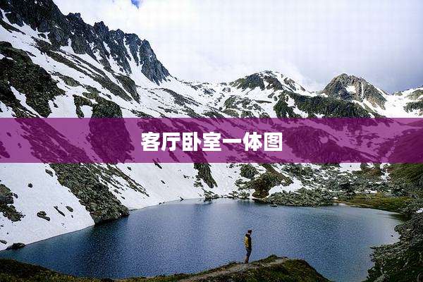 客厅卧室一体图