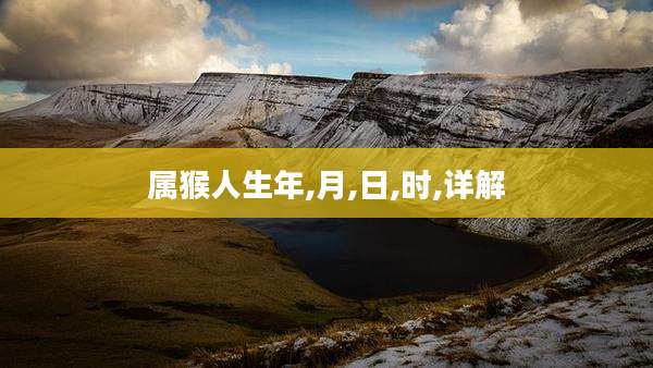 属猴人生年,月,日,时,详解