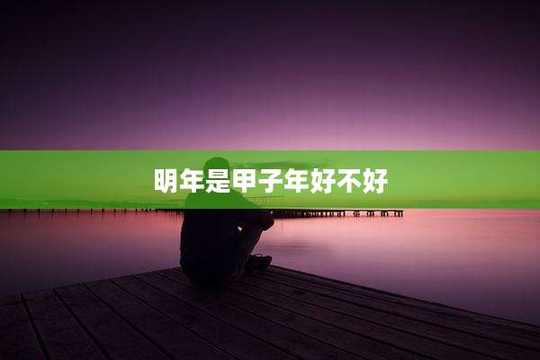 明年是甲子年好不好