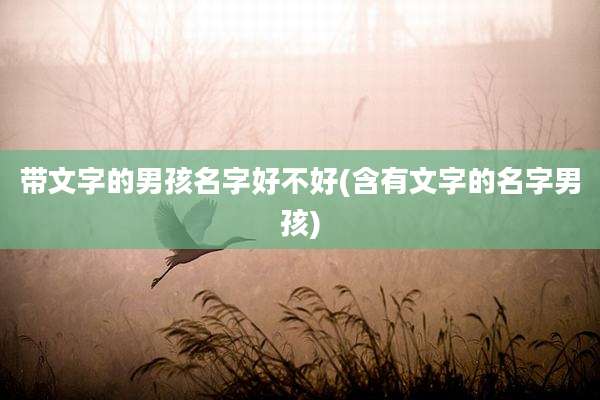 带文字的男孩名字好不好(含有文字的名字男孩)