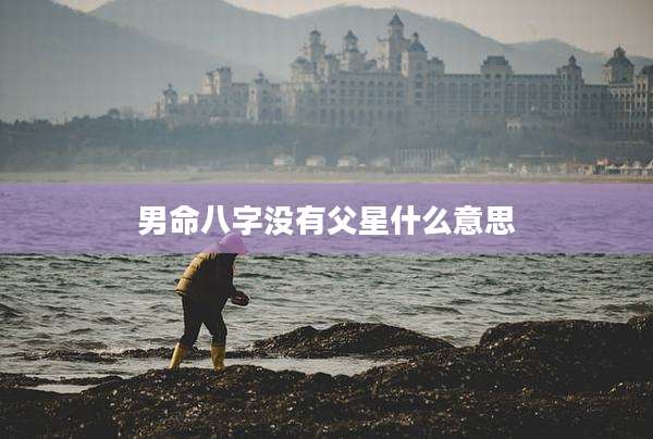 男命八字没有父星什么意思