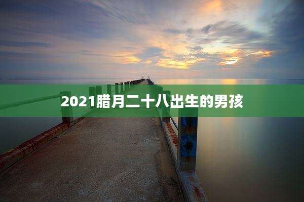 2021腊月二十八出生的男孩