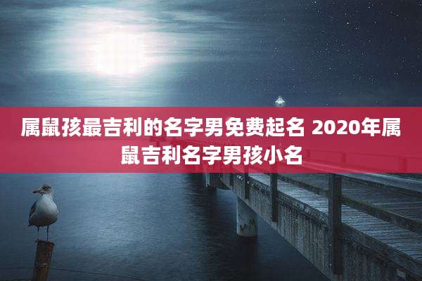 属鼠孩最吉利的名字男免费起名 2020年属鼠吉利名字男孩小名