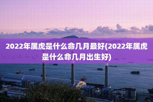 2022年属虎是什么命几月最好(2022年属虎是什么命几月出生好)