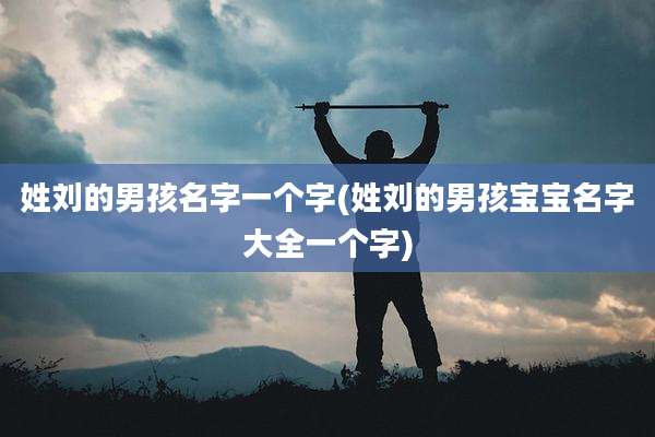 姓刘的男孩名字一个字(姓刘的男孩宝宝名字大全一个字)