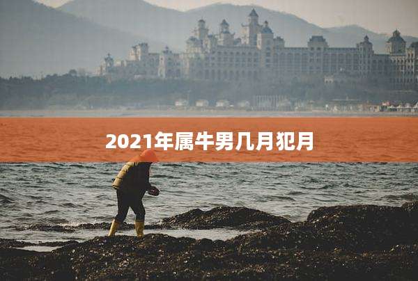 2021年属牛男几月犯月
