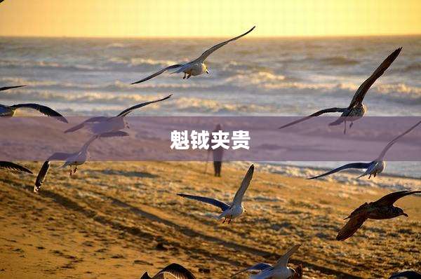 魁钺夹贵