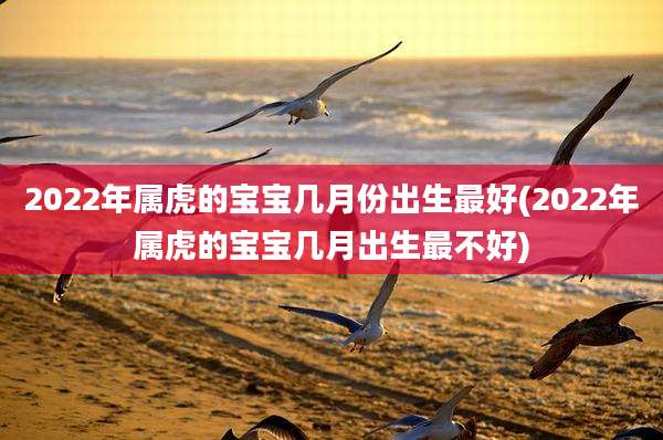 2022年属虎的宝宝几月份出生最好(2022年属虎的宝宝几月出生最不好)