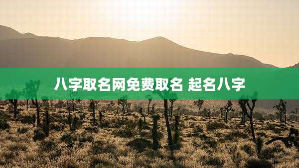 八字取名网免费取名 起名八字