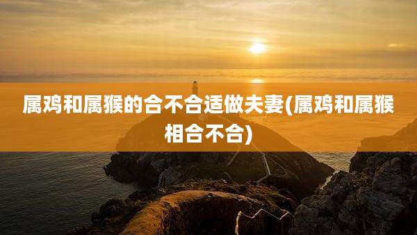 属鸡和属猴的合不合适做夫妻(属鸡和属猴相合不合)